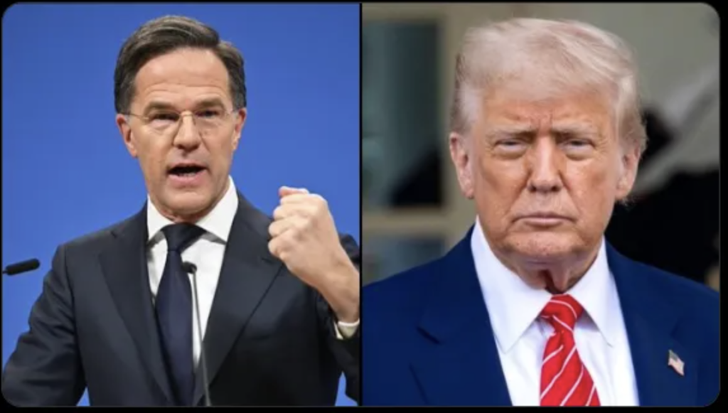 Trump Tariff Market Impact: The “200% Tariff” Lie – Why Smart Money is All-In - Image 2